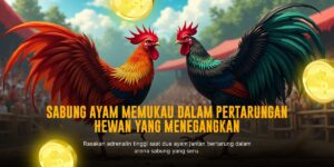 Membedah Jenis Ayam Aduan SV388: Kunci Menang Sabung Ayam