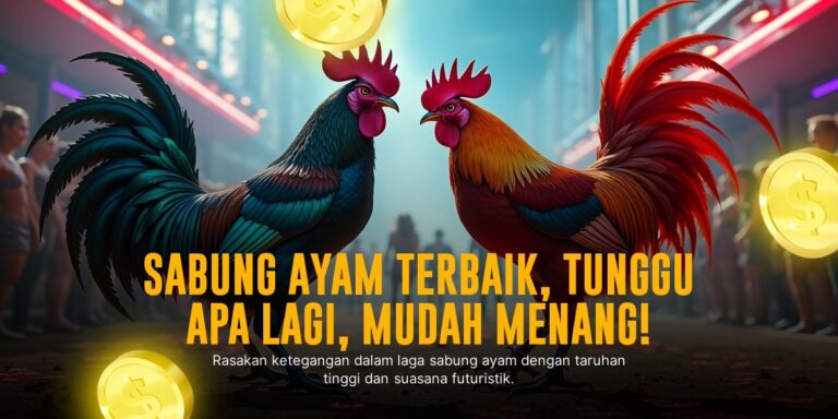 Mengenal Jenis Ayam Bangkok dan Odds pada SABUNG AYAM SV388