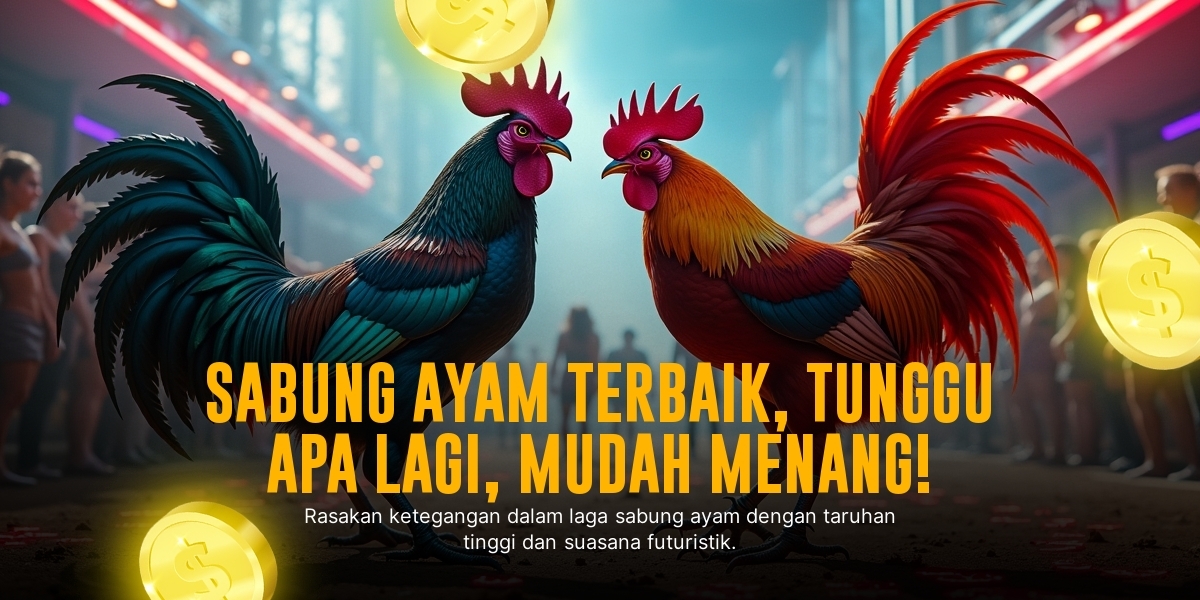 Mengenal Jenis Ayam Bangkok dan Odds pada SABUNG AYAM SV388