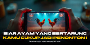 Mengupas Jagoan Sabung Ayam: Jenis Ayam Aduan Favorit dan Odds SV388