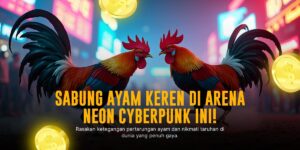 Mulia77: Sabung Ayam SV388, Jenis Ayam Aduan & Odds Terbaik