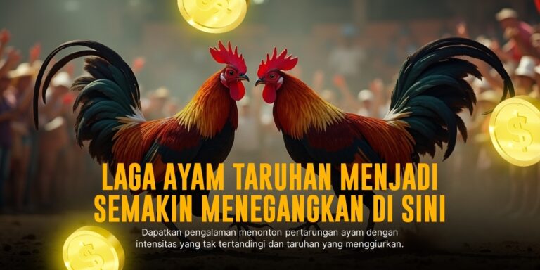 Mengenal Jenis Ayam Bangkok dalam Sabung Ayam SV388